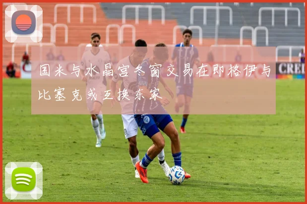 国米与水晶宫冬窗交易在即格伊与比塞克或互换东家