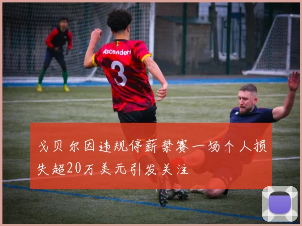 戈贝尔因违规停薪禁赛一场个人损失超20万美元引发关注