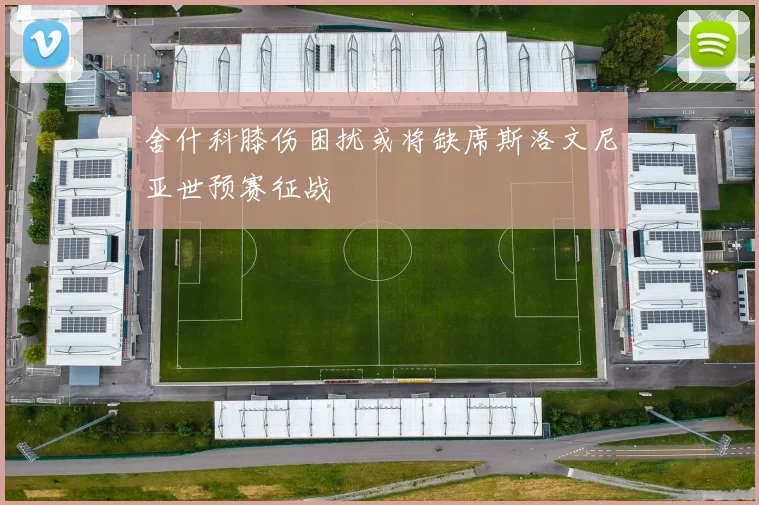 舍什科膝伤困扰或将缺席斯洛文尼亚世预赛征战