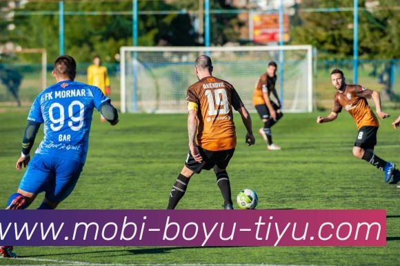 博鱼体育平台生态图