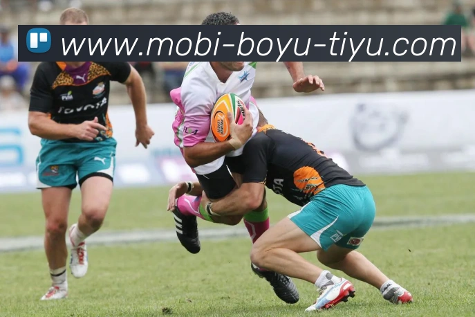 博鱼体育APP 封面图